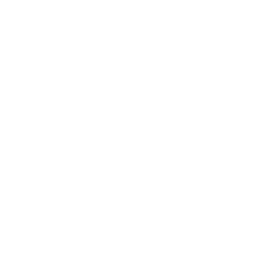 MOUNTAIN-FIREWOOD-LOGO300